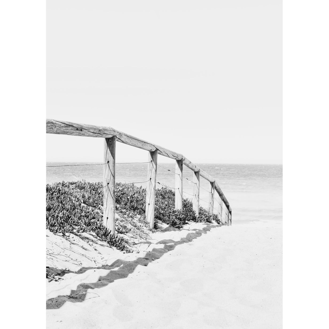Whale Beach Path - Set of 2