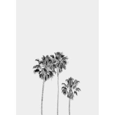 Whale Beach Path - Set of 2