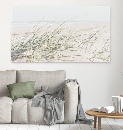 Grassy Beach Dunes
