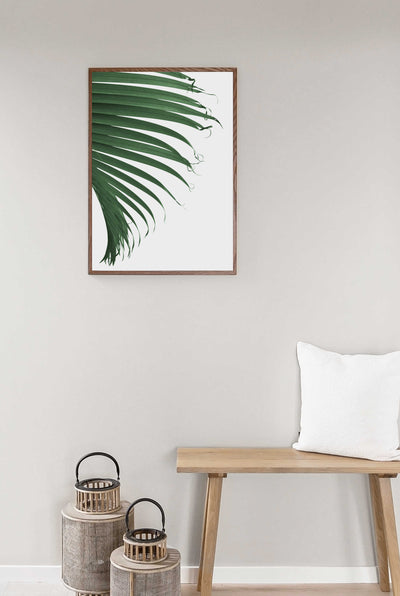 Cascade Palm Leaf II | Palm Wall Art Print