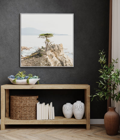 Lone Cypress II | Coastal Wall Art | Framed Canvas Print
