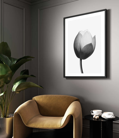 Lotus II | Flower Wall Art Print