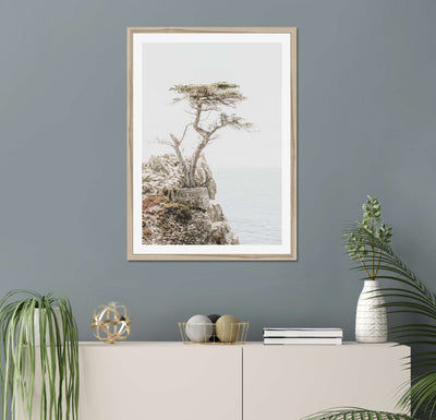 Lone Cypress | Nature Wall Art Print