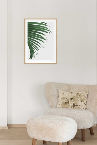 Cascade Palm Leaf II