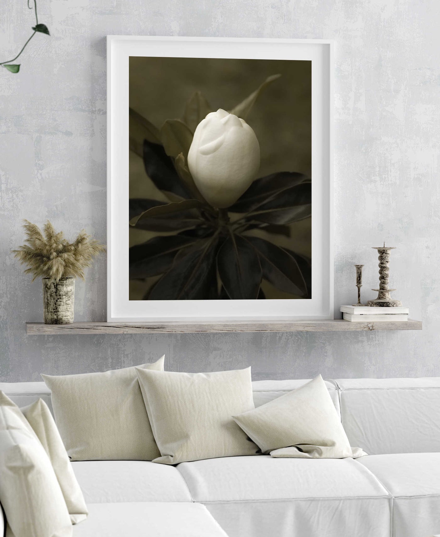 White Magnolia | Flower Wall Art Print