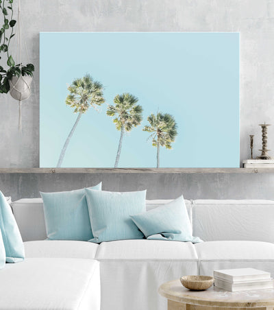 Trio Palm Trees No. 2 | Palm Wall Art | Stretched Canvas Print