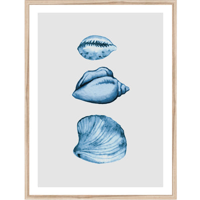 Seahorses & Seashells Set of 3