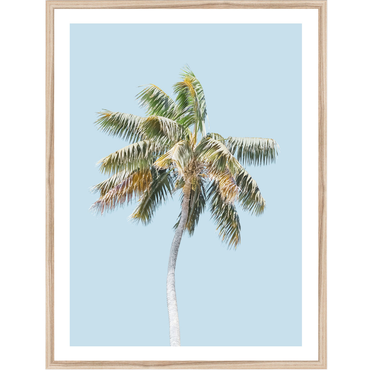 Blue Sky Palm | Coastal wall art print