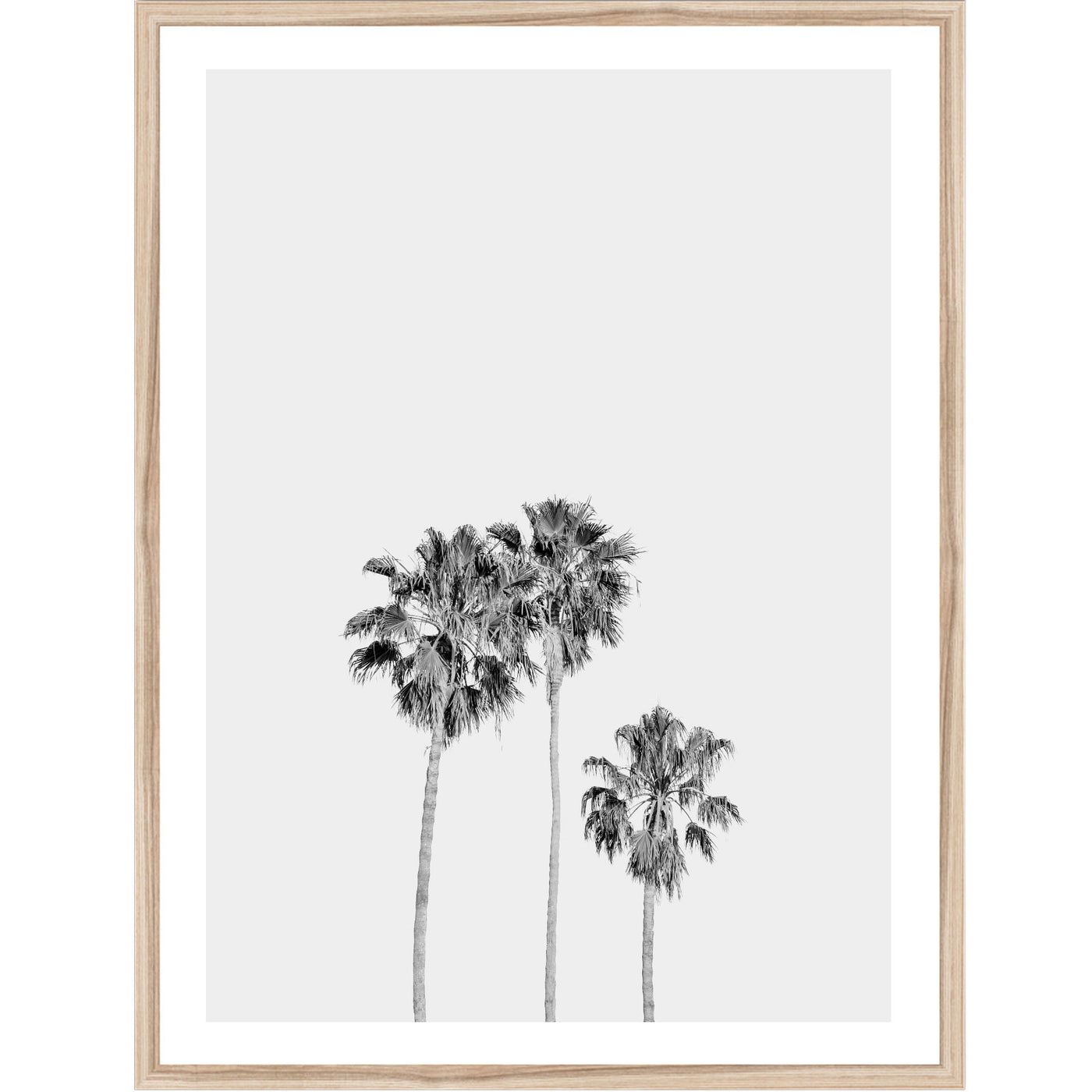 Three Palms Black & White | Palm Wall Art Print