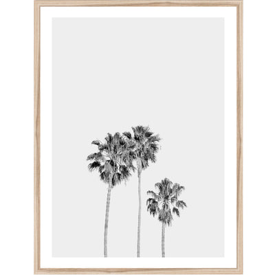 Three Palms Black & White | Palm Wall Art Print