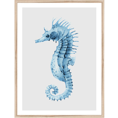 Seahorses & Seashells Set of 3