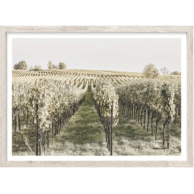Vineyard I | Landscape Wall Art Print 