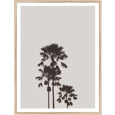 Sunset Palms | Palm Wall Art Print