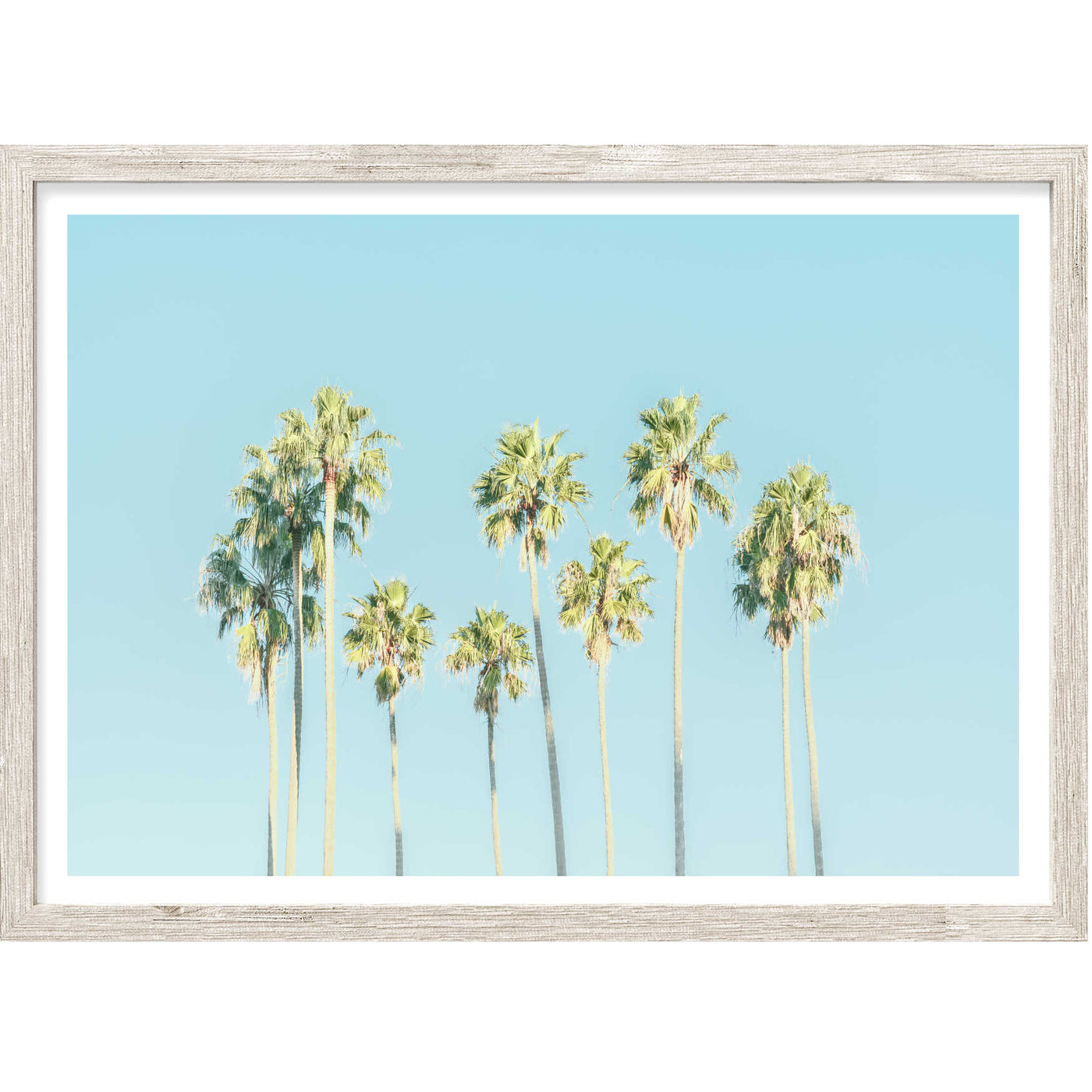 Blue Sky Palms III | Palm Wall Art Print