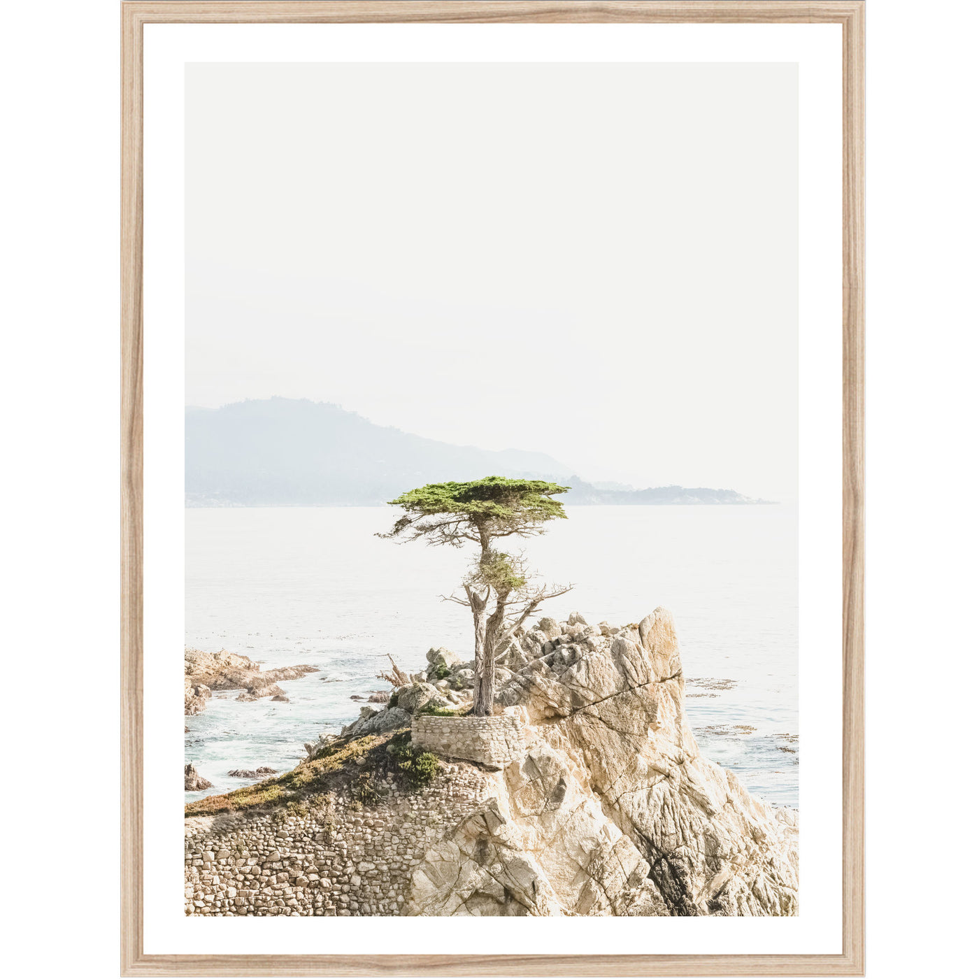 Lone Cypress II | Coastal Wall Art Print