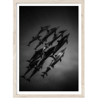 Underwater II | Coastal Wall Art Print