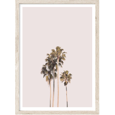 Pink Sky Palms II | Palm Wall Art Print