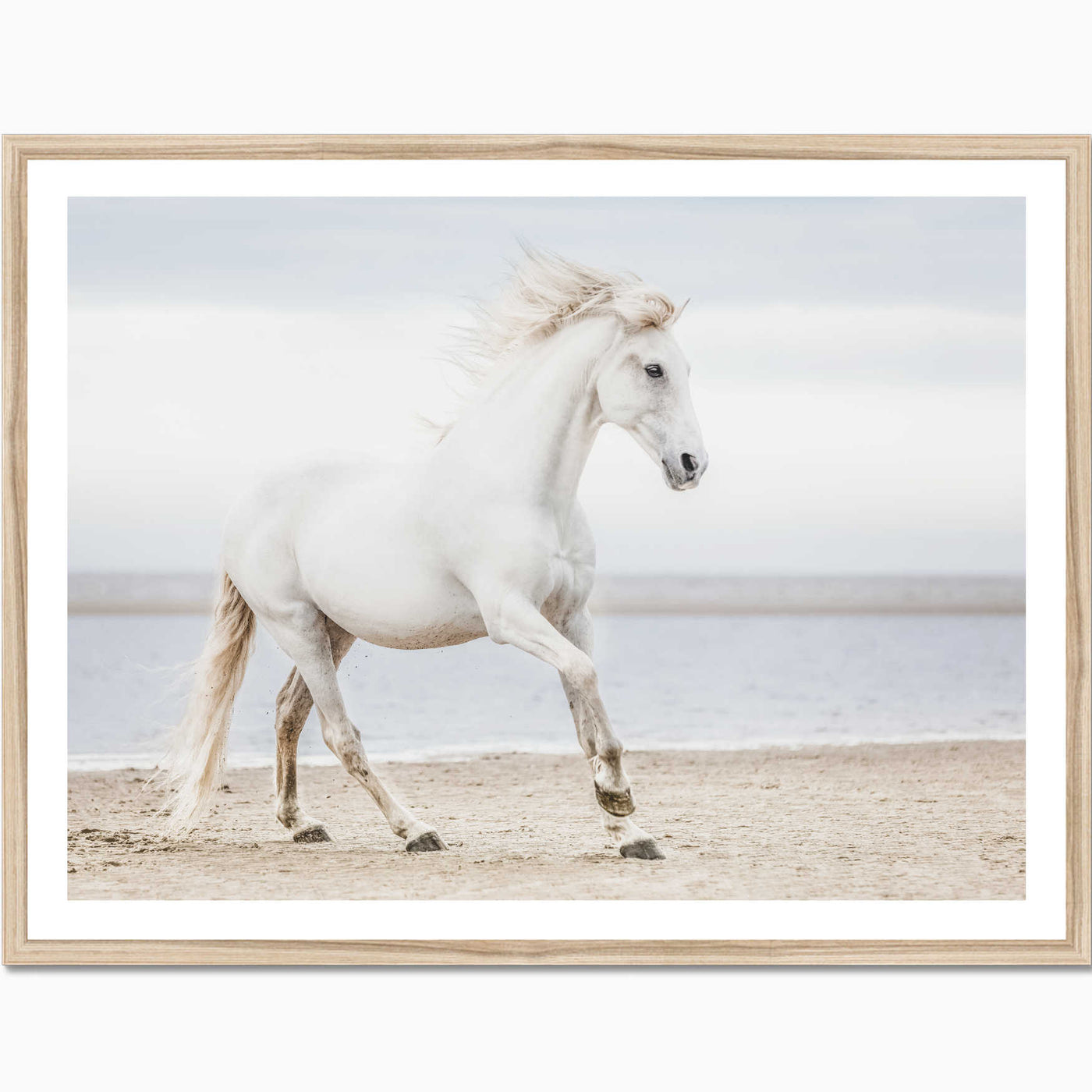 White Horse I | Animal Wall Art Print