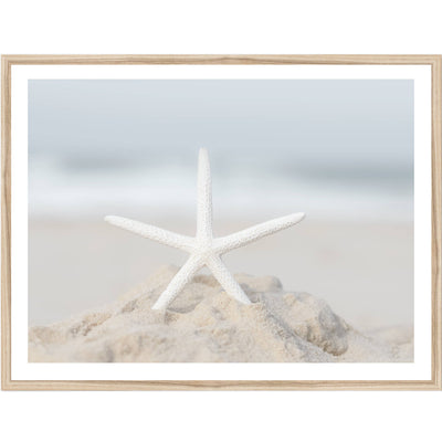 Starfish II | Coastal Wall Art Print