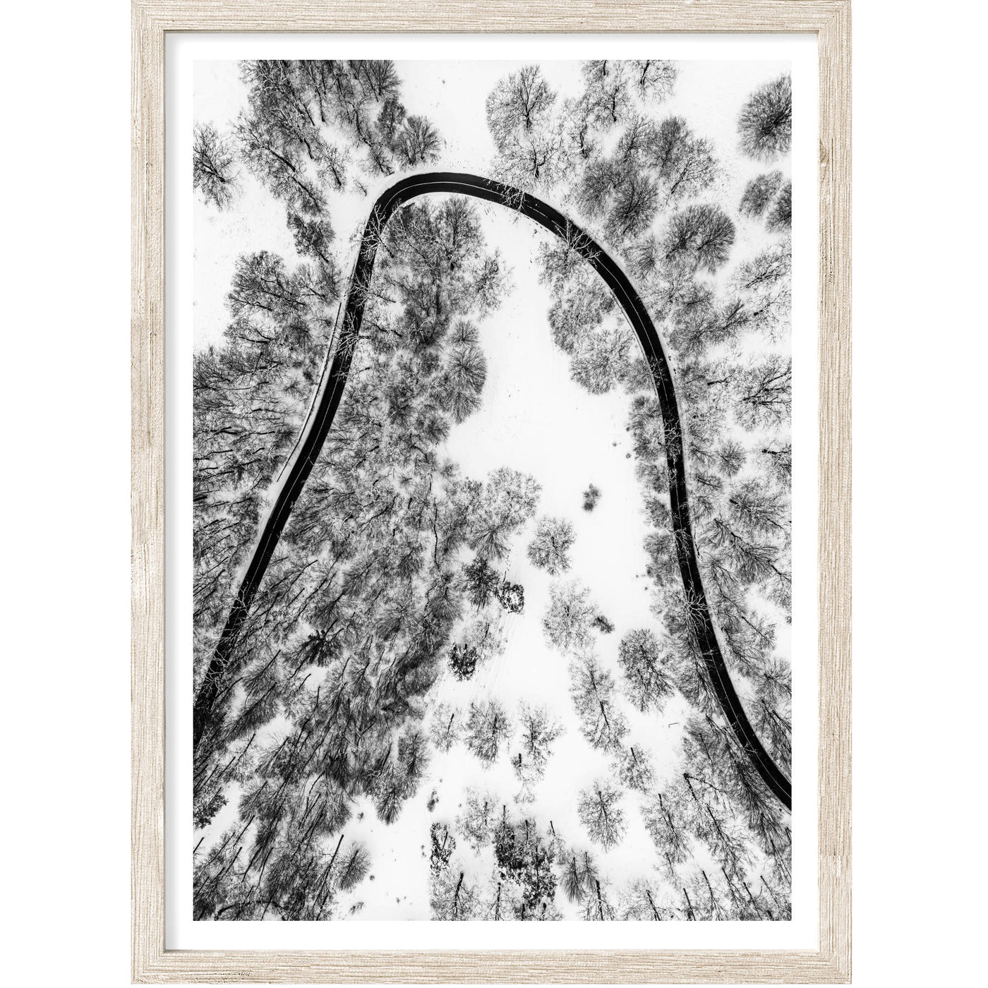 Aerial Forest II | Black & White Nature Wall Art Print