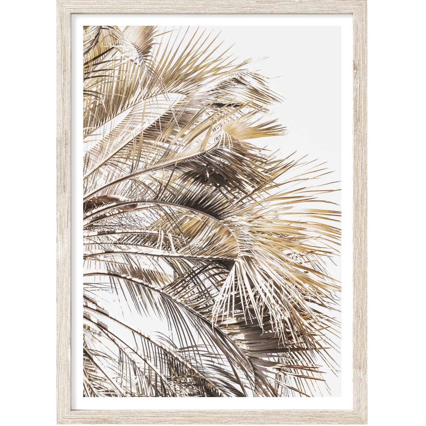 Palm View VII | Palm Wall Art Print