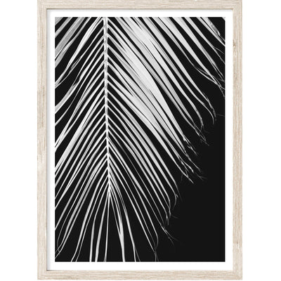 Palm Leaf V | Palm Wall Art Print