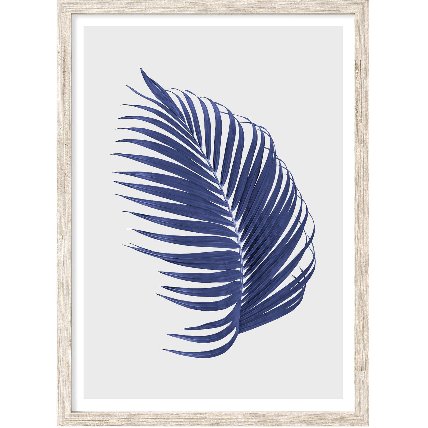 Blue Palm Leaf II | Botanical Wall Art Print