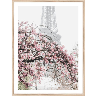 Spring in Paris | Travel Wall Art Print