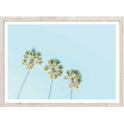Trio Palm Trees No. 2 | Palm Wall Art Print