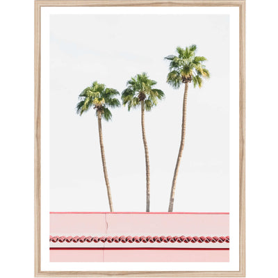 Palm Springs Palms | Palm Wall Art Print