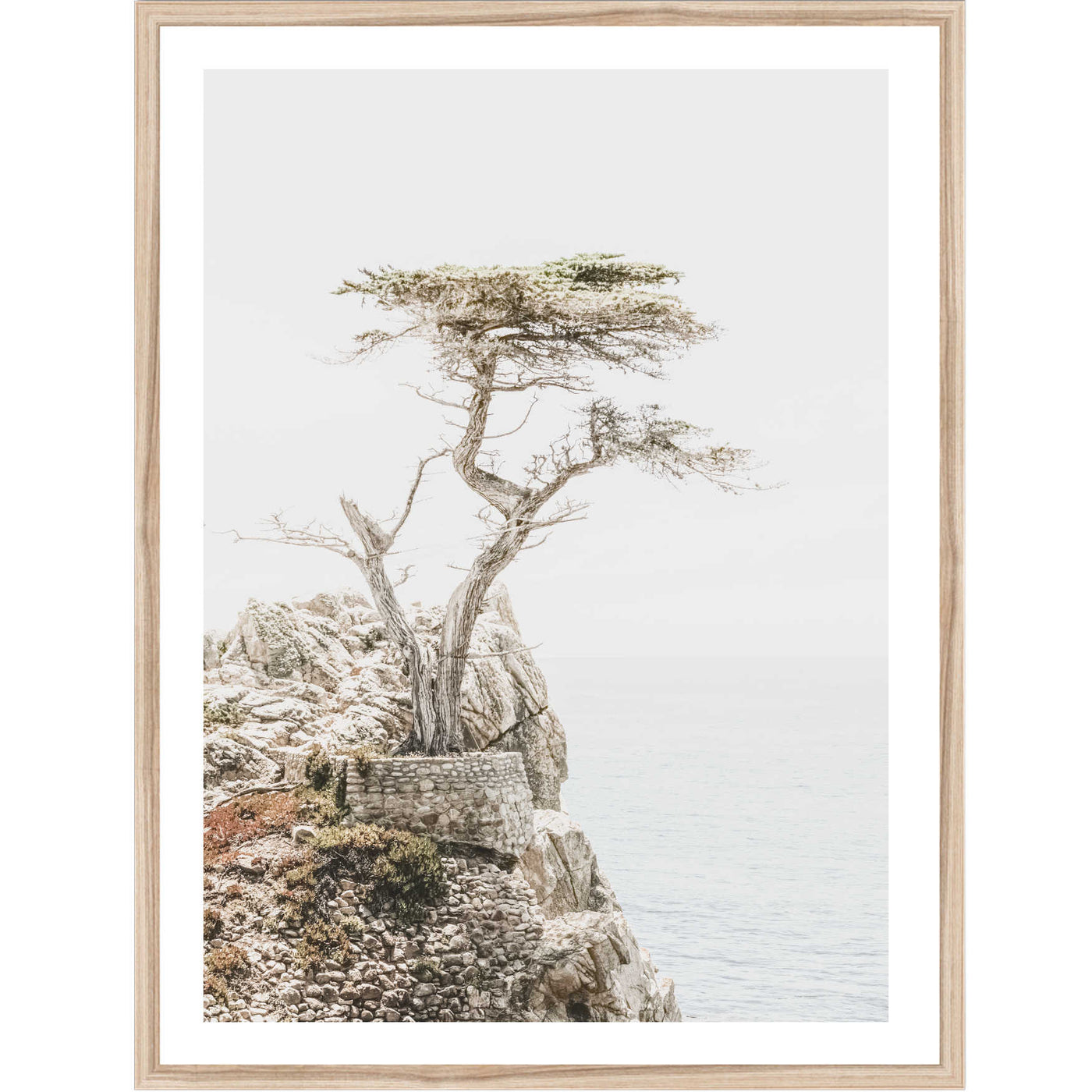 Lone Cypress | Nature Wall Art Print