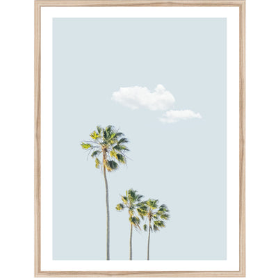 Trio Palms II | Coastal Wall Art Print