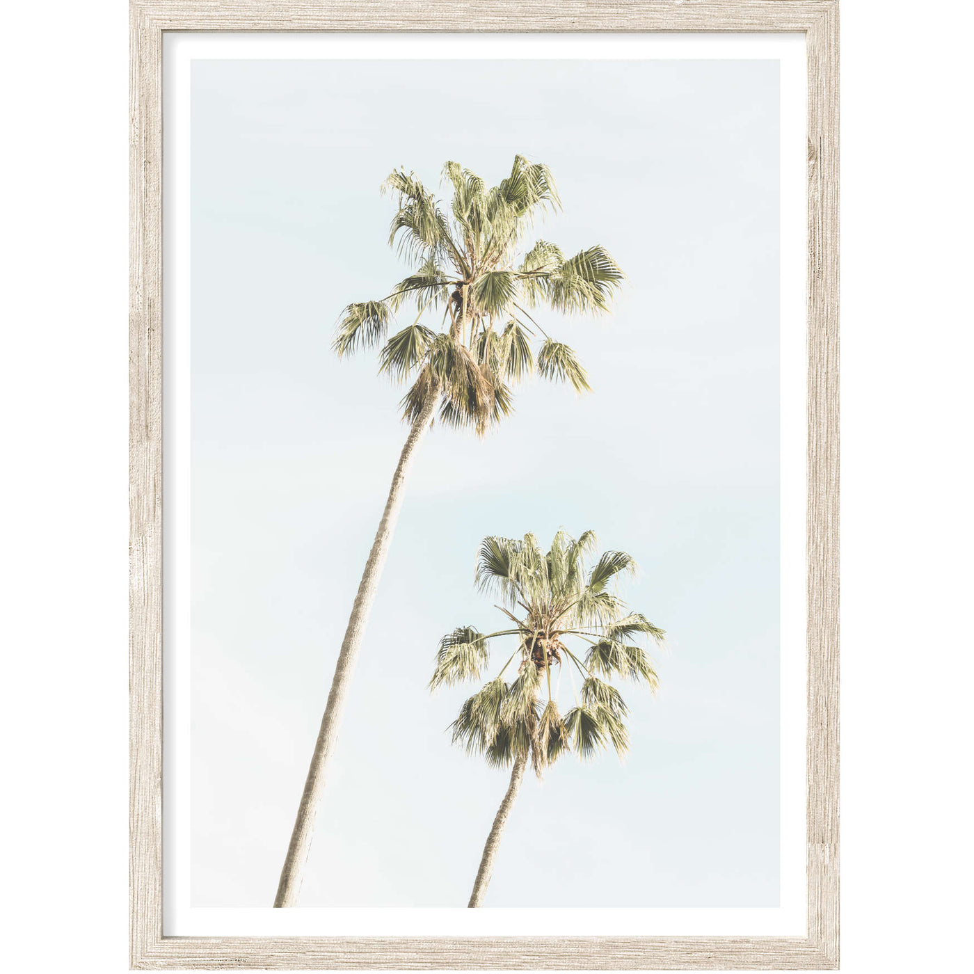 Two Palm Trees II | Palm Wall Art Print