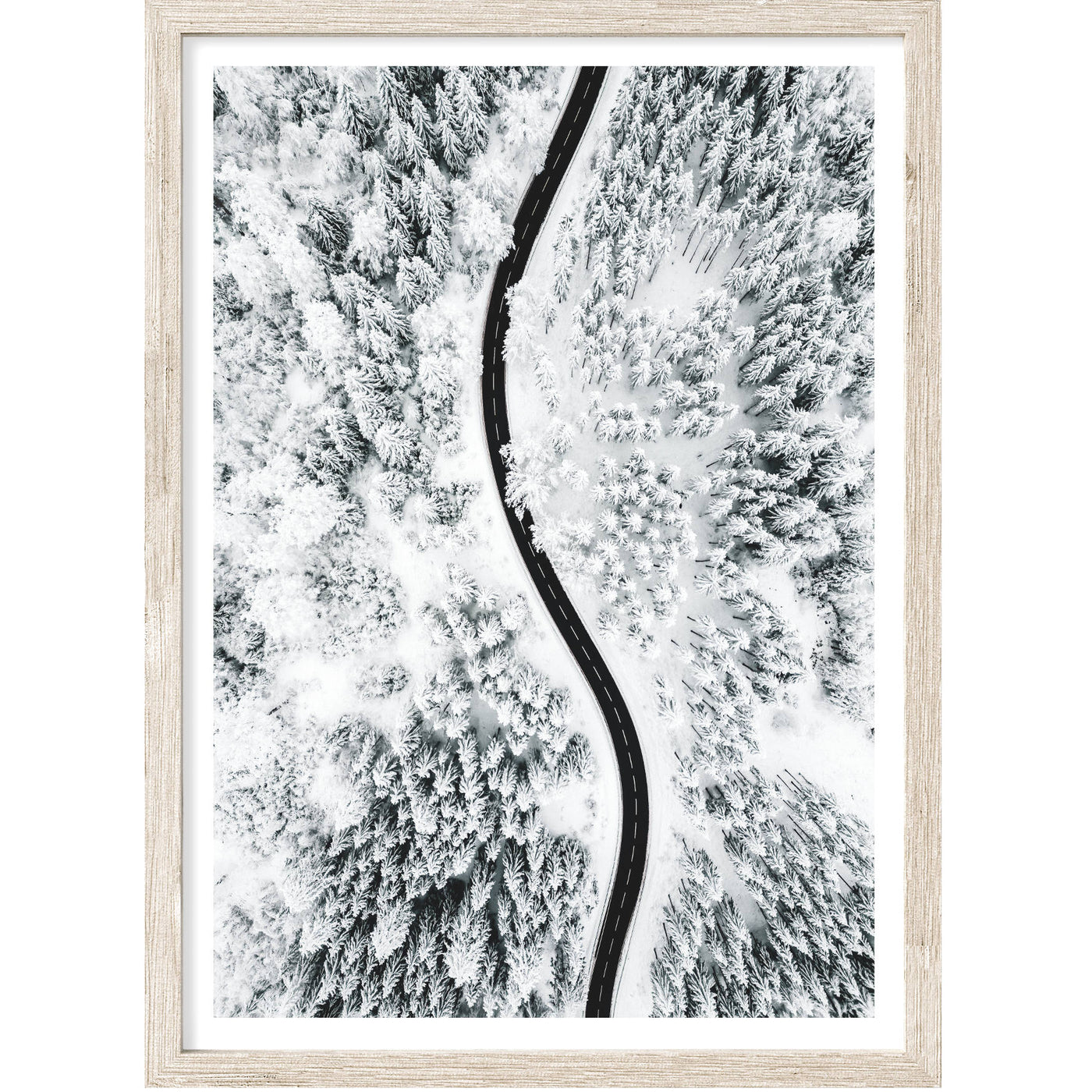 Aerial Forest Art Print | Nature Wall Art | arrtopia