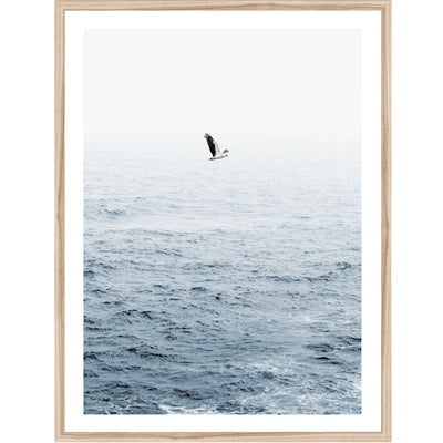 Where Eagles Soar | artwork of a bird flying above ocean water