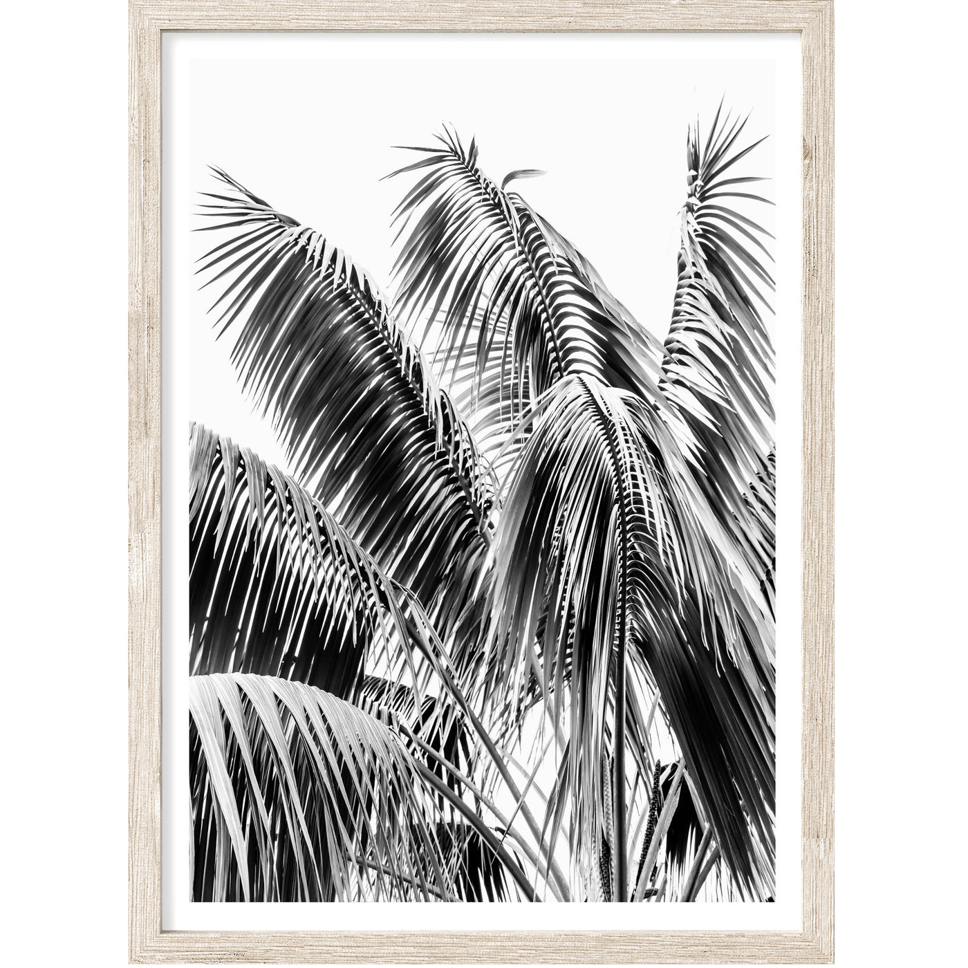 black & white palm leaves wall art print | arrtopia