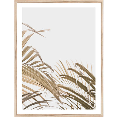 Cascade Palm View | Botanical Wall Art Print