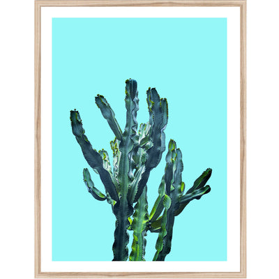 Cactus No. 2 | Botanical Wall Art Print