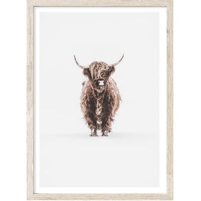 Lonely Highland Cow | Animal Wall Art Print