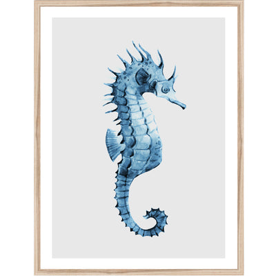Seahorses & Seashells Set of 3