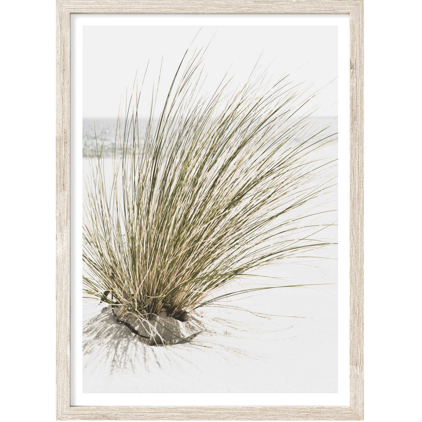 Beach Grass II | Beach Wall Art Print