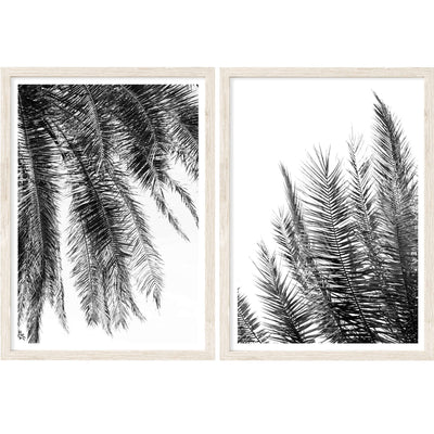 Black & White Palm Leaves Set of 2 | Palm Wall Art Prints
