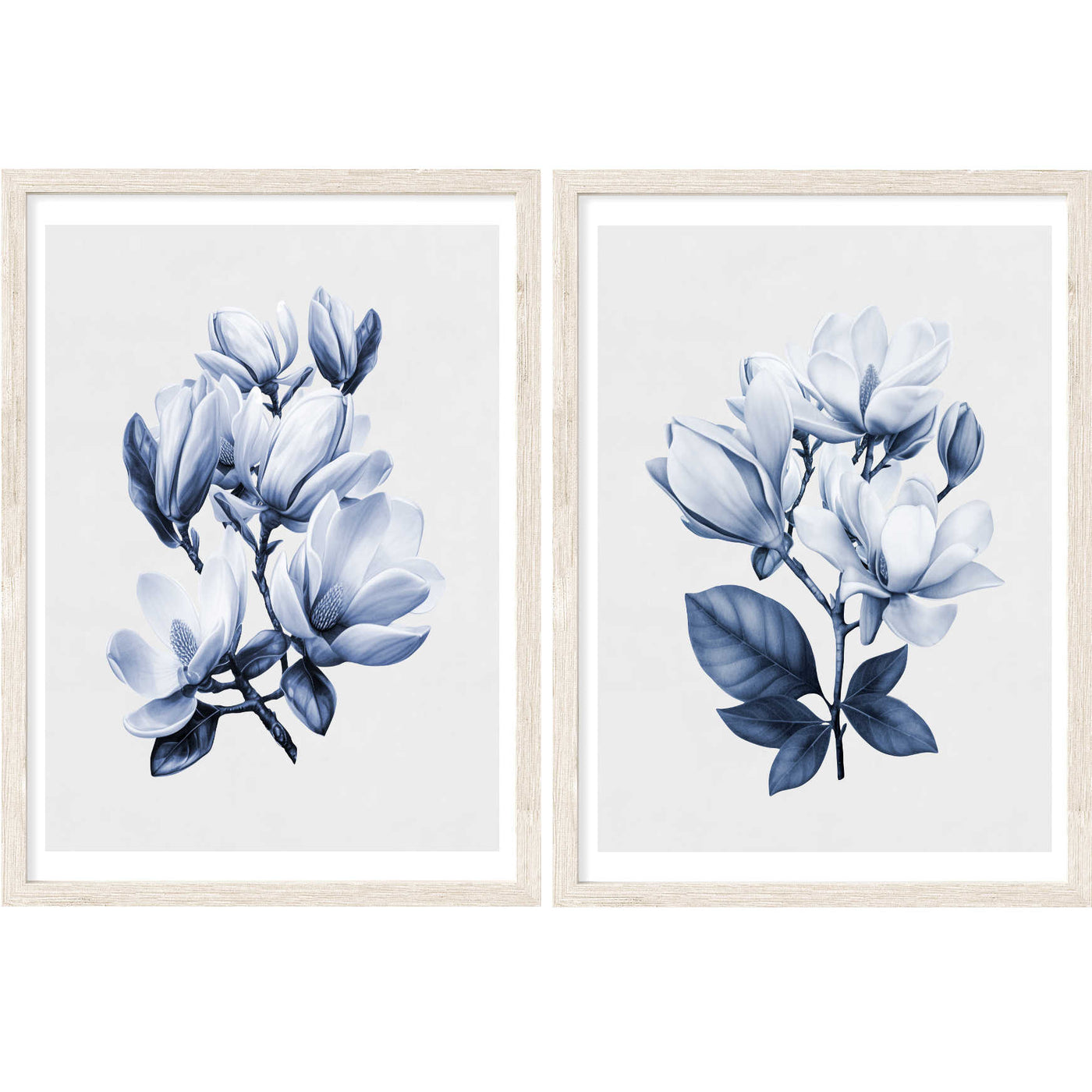 Magnolia Blooms Blue Set of 2 | Floral Wall Art Prints