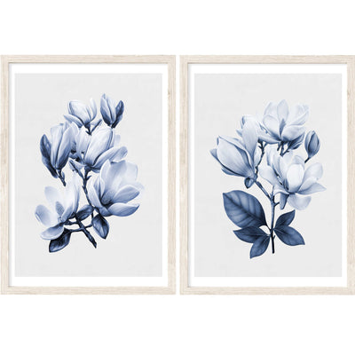 Magnolia Blooms Blue Set of 2 | Floral Wall Art Prints