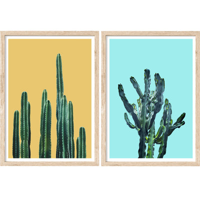 Color Pop Cacti - Set of 2 | Botanical Wall Art Prints