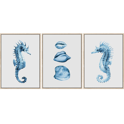 Seahorses & Seashells Set of 3 | Coastal Wall Art Prints