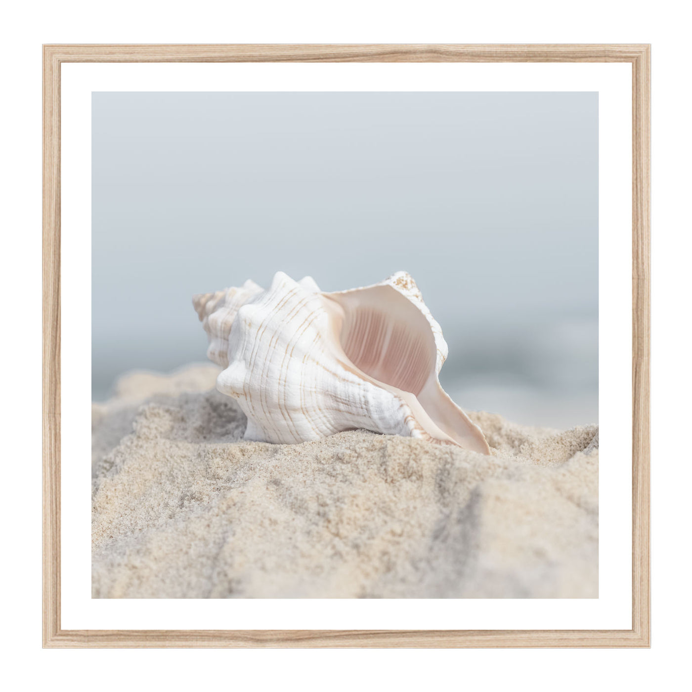 Seashell in Sand Square | Coastal Wall Art Print