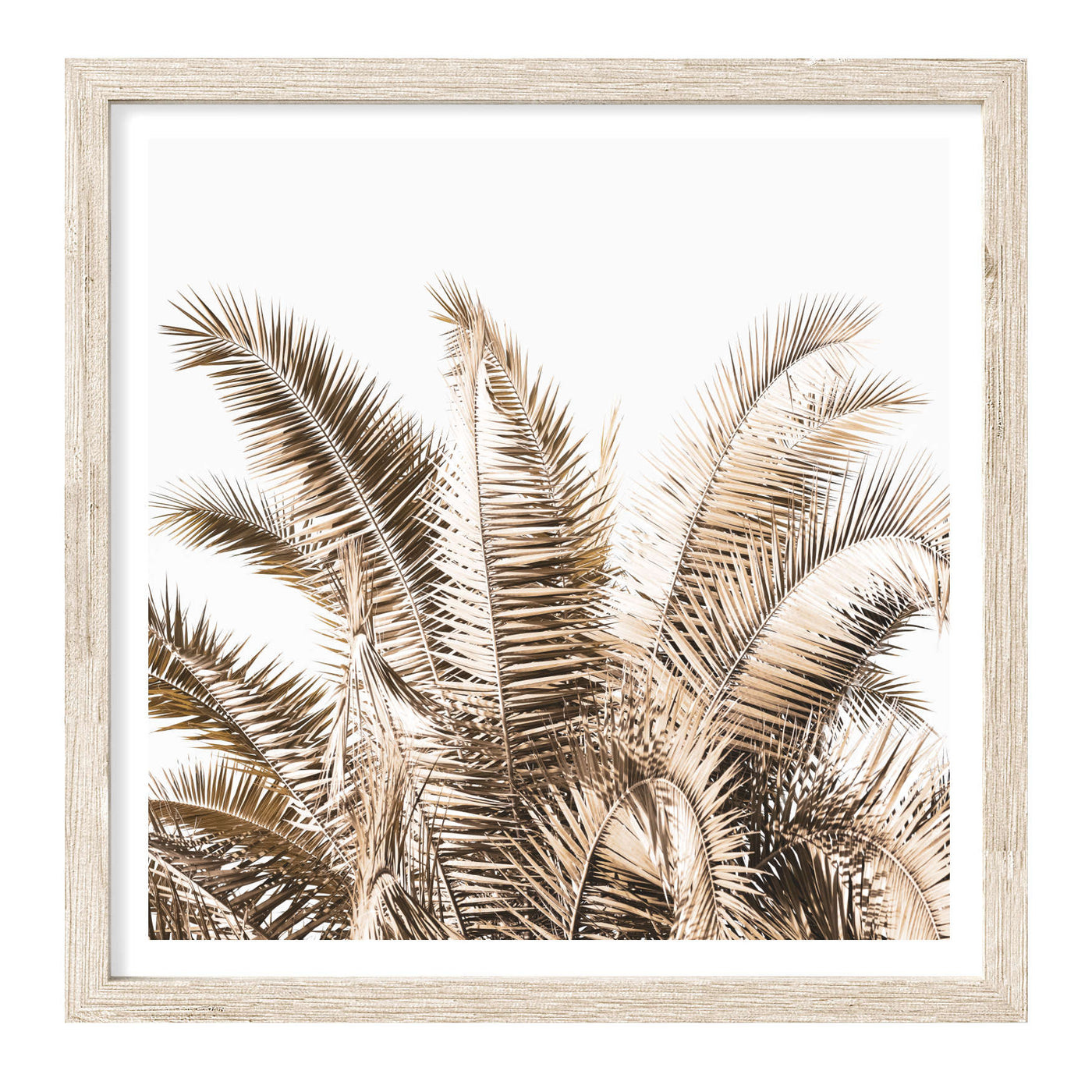 Palm Leaves IV | Palm Wall Art Print