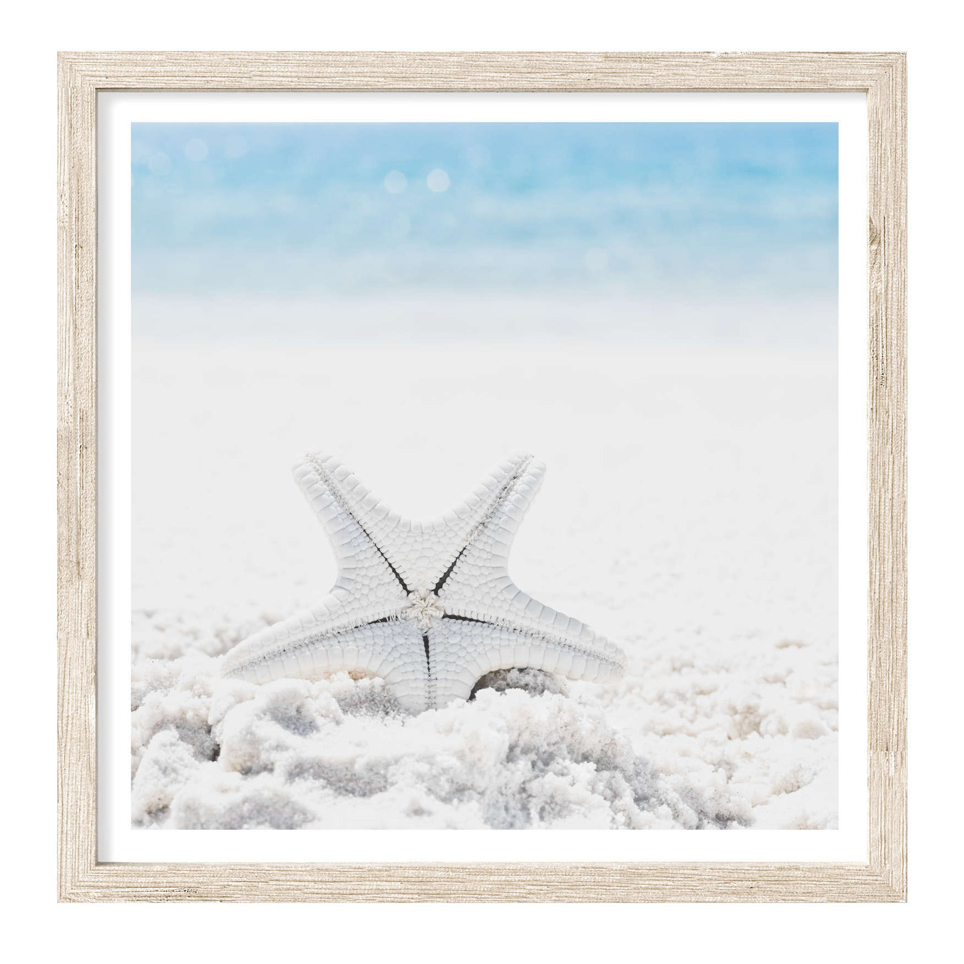 Starfish in Sand | Coastal Wall Art Print