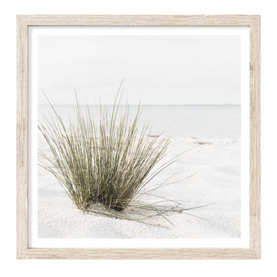 Beach Grass III| Coastal Wall Art Print 